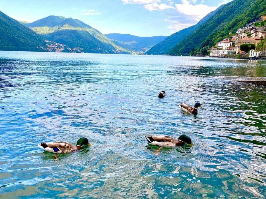 Una Finestra Sul Lago 阿尔杰尼奥 外观 照片
